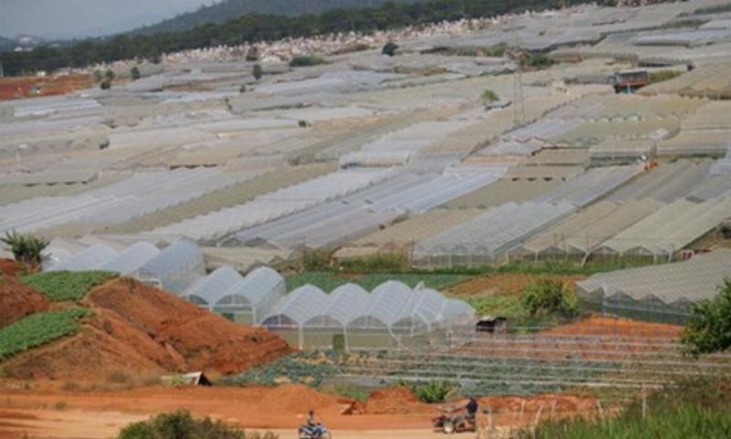 Minh hoa cac yeu to quan ly moi truong trong nha kinh trong rau